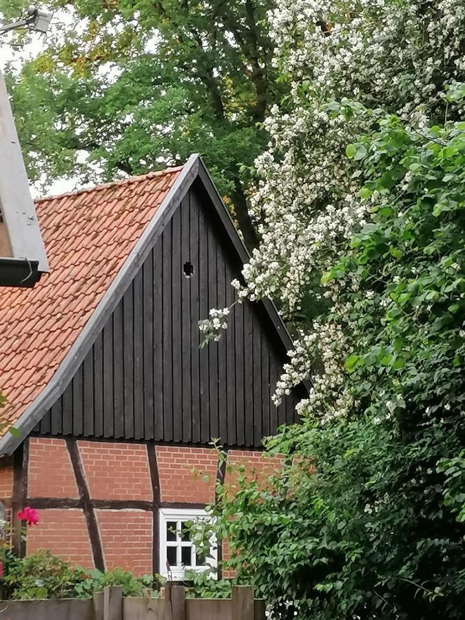 Ferienhaus In Rumke Bippen Exterior photo